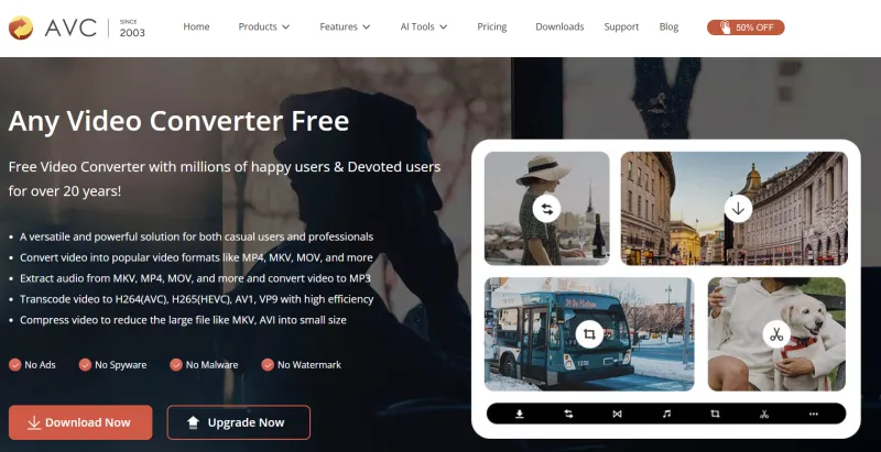 Any Video Converter